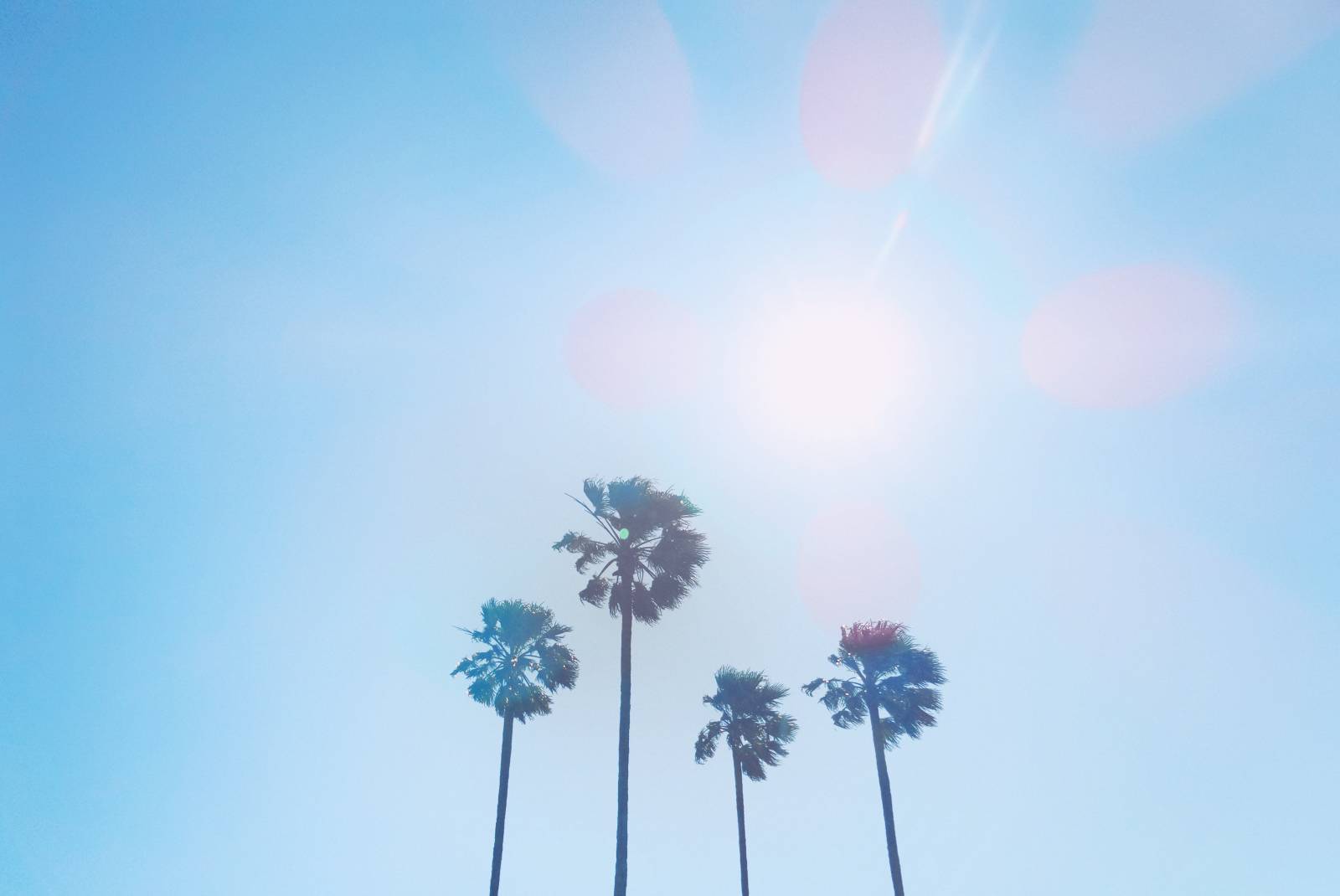 Mariage en été : chaleur