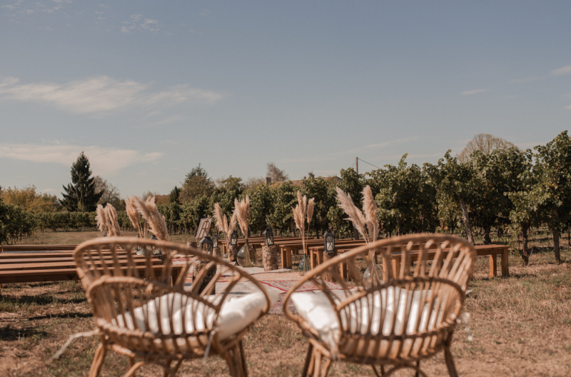 Les Avantages Enchanteurs d'un Mariage en Plein Air : Conseils et Astuces de votre wedding planner à Bordeaux - Les mariages de mademoiselle L - David Vinso
