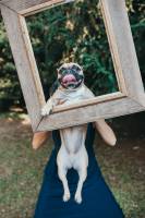 Les Mariages de Mademoiselle L Organisatrice de mariage Bordeaux et Arcachon - Céline Coussau